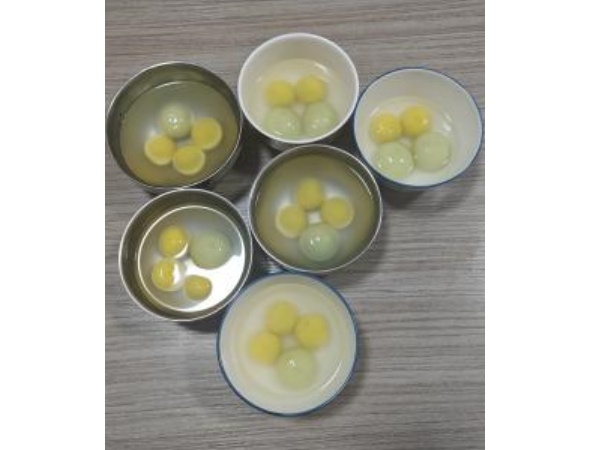 မီးအိမ်ပွဲတော်ကိုဆင်နွှဲပြီးလပြည့်ပျော်မွေ့ပါ